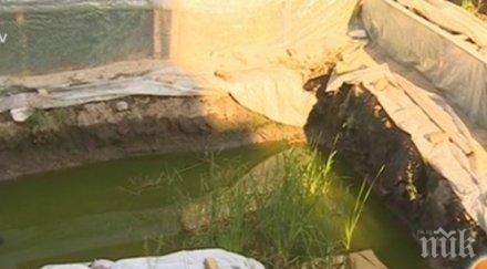 находки антична сердика превърнаха блато