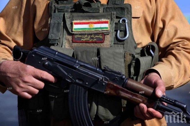 ЕС подкрепи оръжейните доставки за Ирак