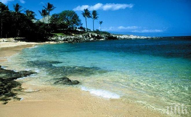 Руският туроператор „Ветер странствий” прекрати дейността си