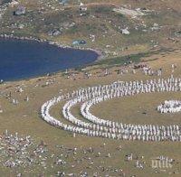 Дъновисти посрещнаха слънчевата Нова година