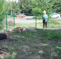 В Бургас вече има пета площадка за кучета – този път в „Меден рудник”