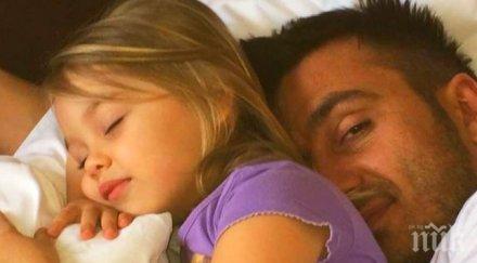 коцето надя махат неколкократно обираната къща строят нов палат