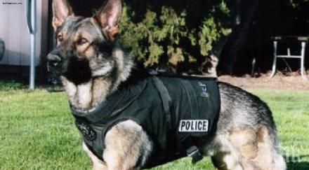 ограбиха саудитски принц париж