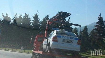 паяк вдигнал патрулка стресна столичани снимка