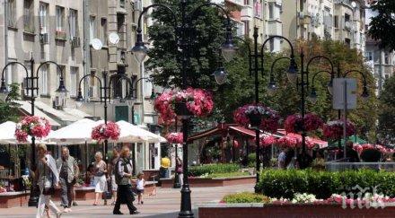 жалба спира поредния ремонт бул витоша