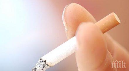 цигара запали апартамент две пожарни гасят