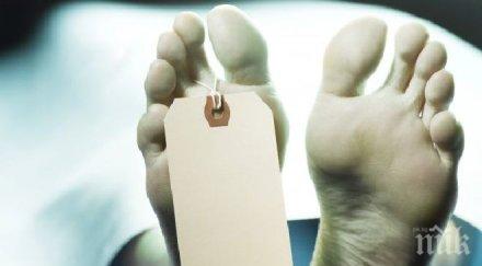 ужас видин превърнаха гараж морга