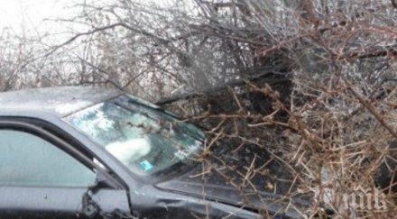 бус предизвика тежка катастрофа поморие избяга снимка