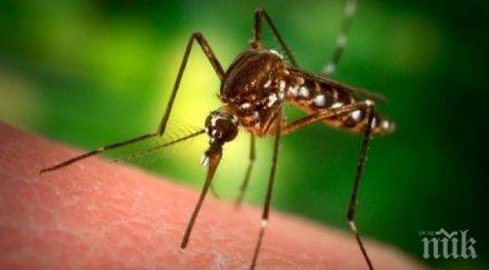 започват пръскат комари разнасящи син език хисарско