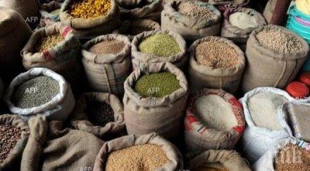 япония възобновила износа ориз фукушима