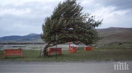 бурен вятър проливен дъжд блокираха летището сидни