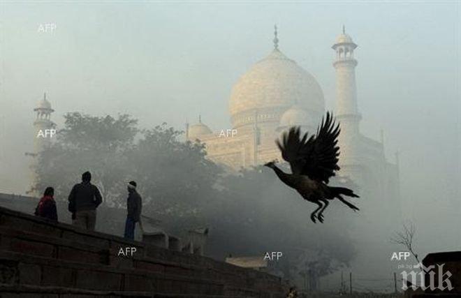 Експресен влак блъсна моторизирана рикша в Индия, 20 души загинаха
