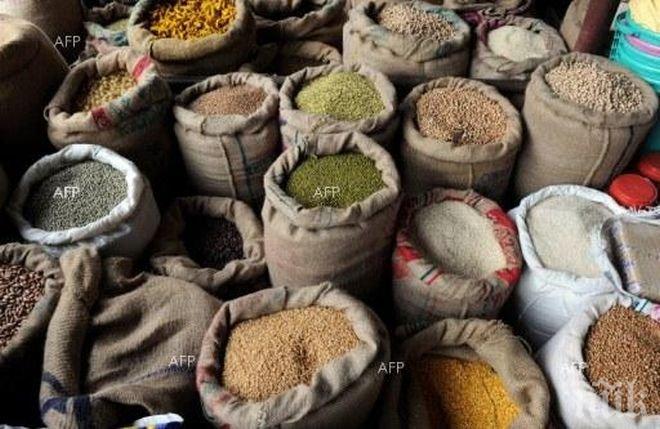 Япония е възобновила износа на ориз от Фукушима