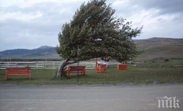 Бурен вятър и проливен дъжд блокираха летището в Сидни