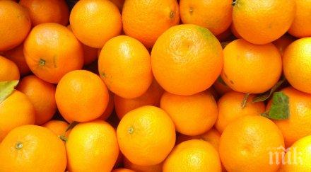 безумци убиха колега портокали