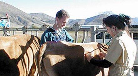 потвърден случай антракс шуменско