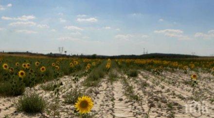 тежка суша мъчи североизточен китай