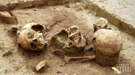 шок петричко работници намериха човешки останки горски път