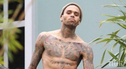 шок опитаха застрелят крис браун снимки