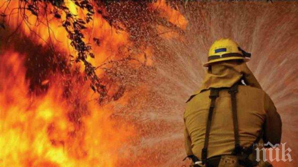 Огромен пожар в южната част на Гърция - евакуираха цяло село!