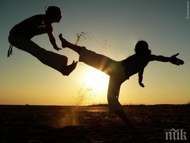 Бойните стилове на кунг-фу ще бъдат съхранени в каталог с 3D визуализации 