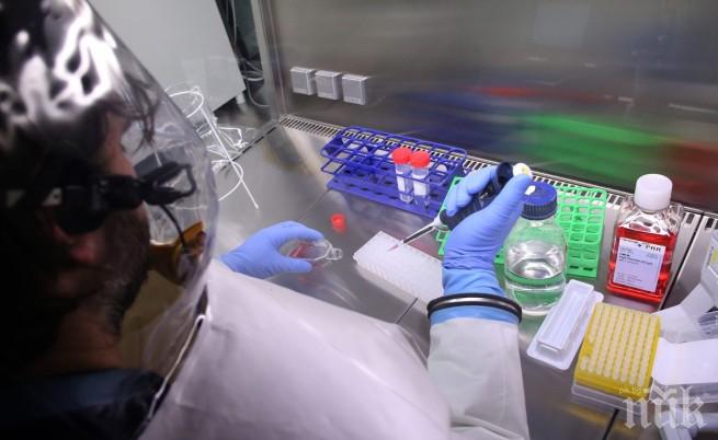 В Канада създадоха нова ваксина срещу ебола, тестват я на маймуни