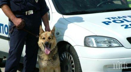 дете изчезна скандал майка