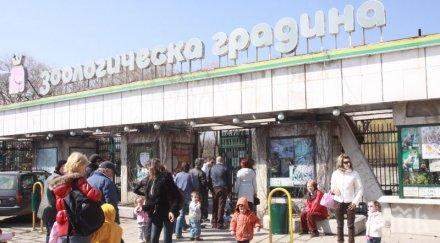 столичният зоопарк отваря врати посетители