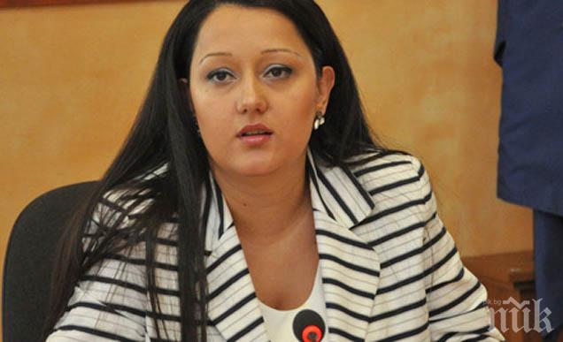 Лили Павлова: През януари може да има тежка енергийна криза, да няма пари за пенсии