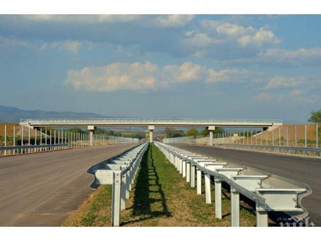 Млад шофьор спря в камион на магистрала Хемус