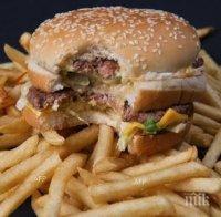 Затвориха 12 заведения на 