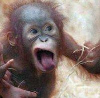 Зоопаркът в Айтос се сдоби с още една конфискувана маймунка от Слънчев бряг