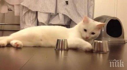 руска банка предлага котка заем клиентите