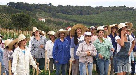 търсят ергени бразилско село населено изцяло жени