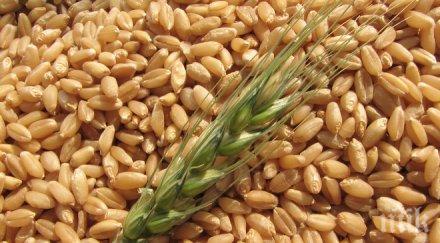 2020 година българия милион декара лимец