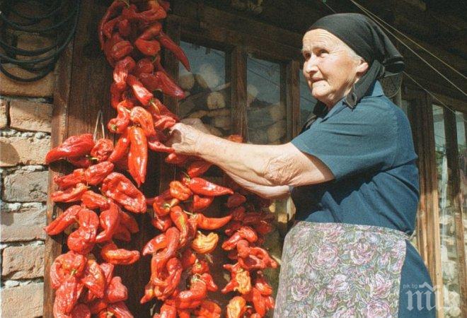 Баба под наем учи децата на земеделие