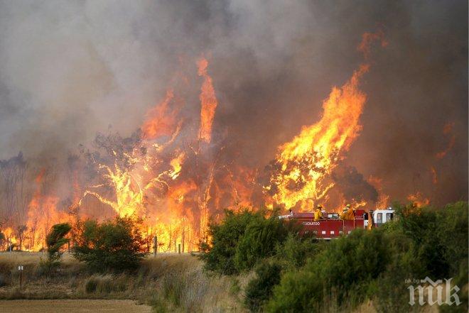 Катастрофирал автомобил край Момин сбор подпали гора
