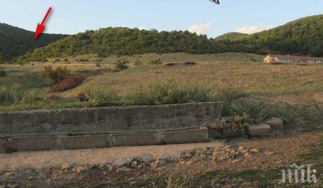 Жители на село Горица: Трупове на болни животни гният в гората, залива ни воня на мърша
