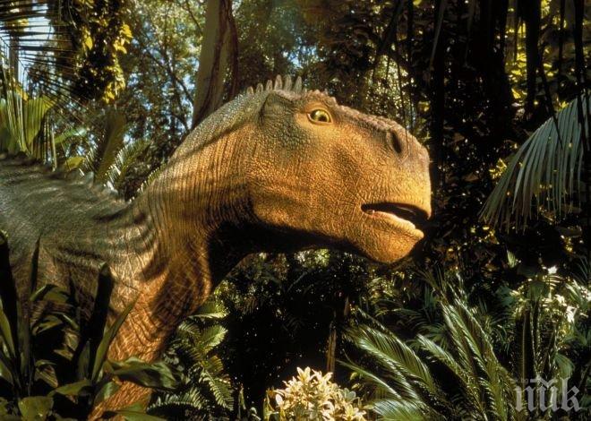 Палеонтолози: Динозаврите са имали детегледачки
