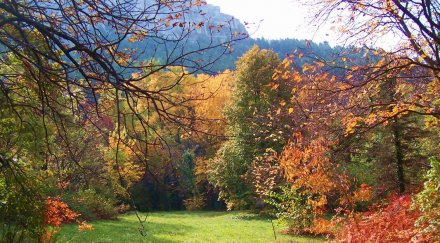 климатични аномалии създават болести българия