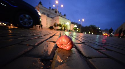 българия бунтове изстъпления