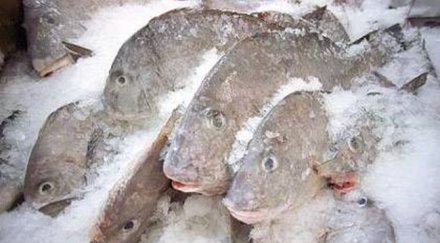 спипаха 800 незаконна замразена риба