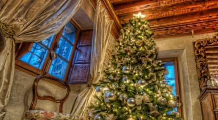 мамят елхи изкарват живи