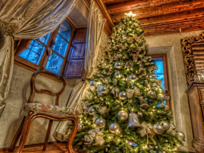 Мамят ни с елхи, изкарват ги живи