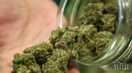 марихуаната положителен ефект двойките