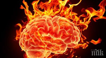 интересен тест какъв пол мозъкът