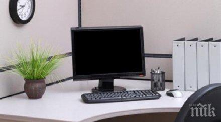 растенията офисите повишават продуктивността