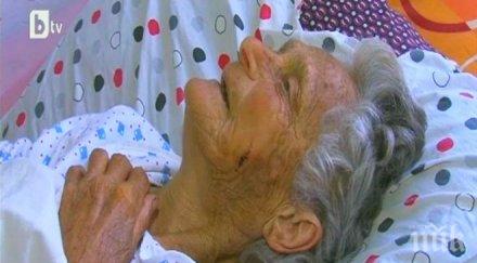 зверство кучета разкъсаха краката баба кръвта почти изтече