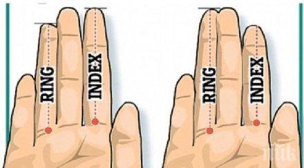 учени доказаха безименният пръст мъжете значение