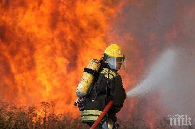Пожар унищожи бали, царевица и машини